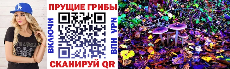 цена Кизел Галлюциногенные грибы прущие грибы